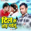 About Dil Ke Tod Gailu Song